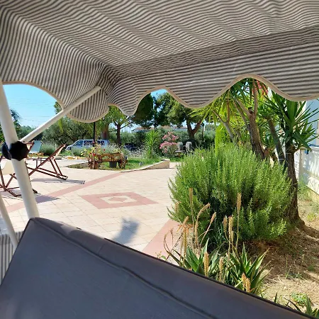 Sunflower Apartments&studios Laganas