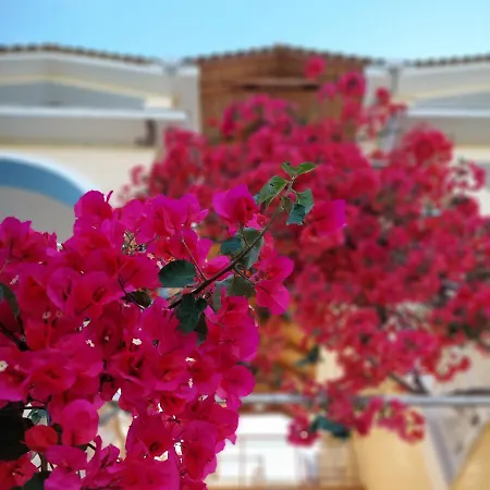 Hotel de apartamente Sunflower &