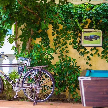 Sunflower Apartments&studios