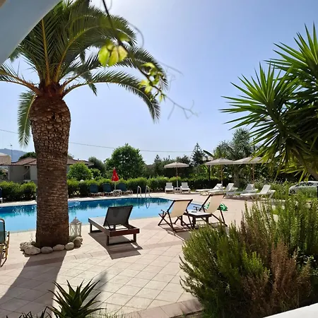 Sunflower Apartments&studios