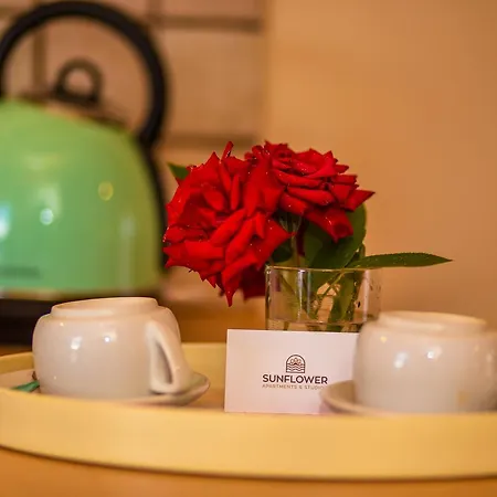 Sunflower Apartments&studios Laganas