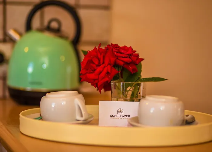 Sunflower & 라가나스