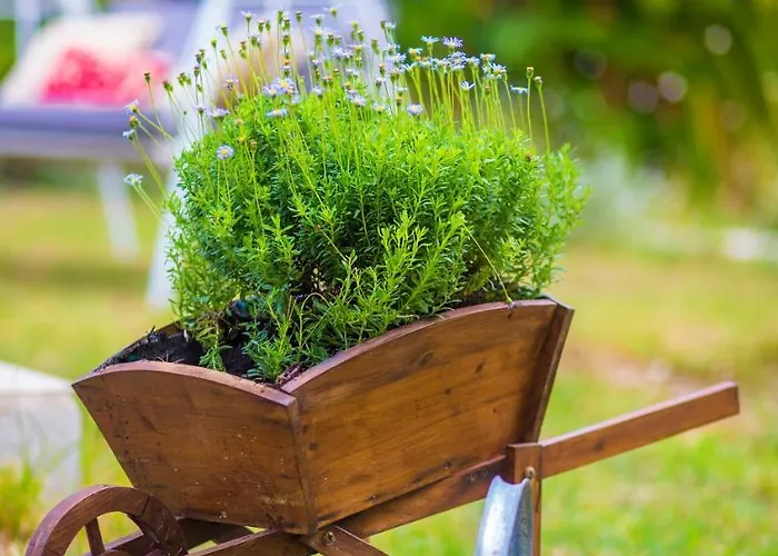 Sunflower & 아파트호텔 4*