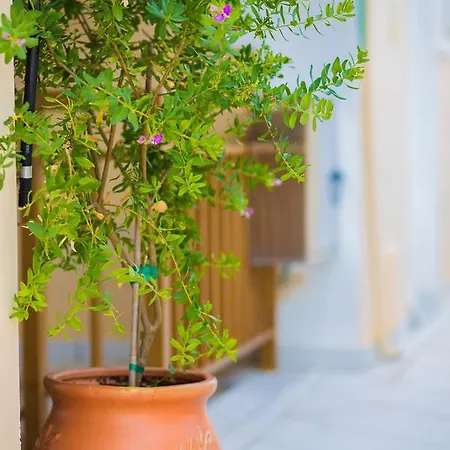 Sunflower & Апарт-отель