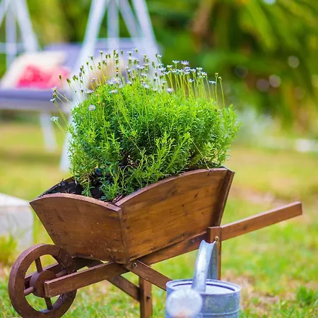 Sunflower & Апарт-отель 4*